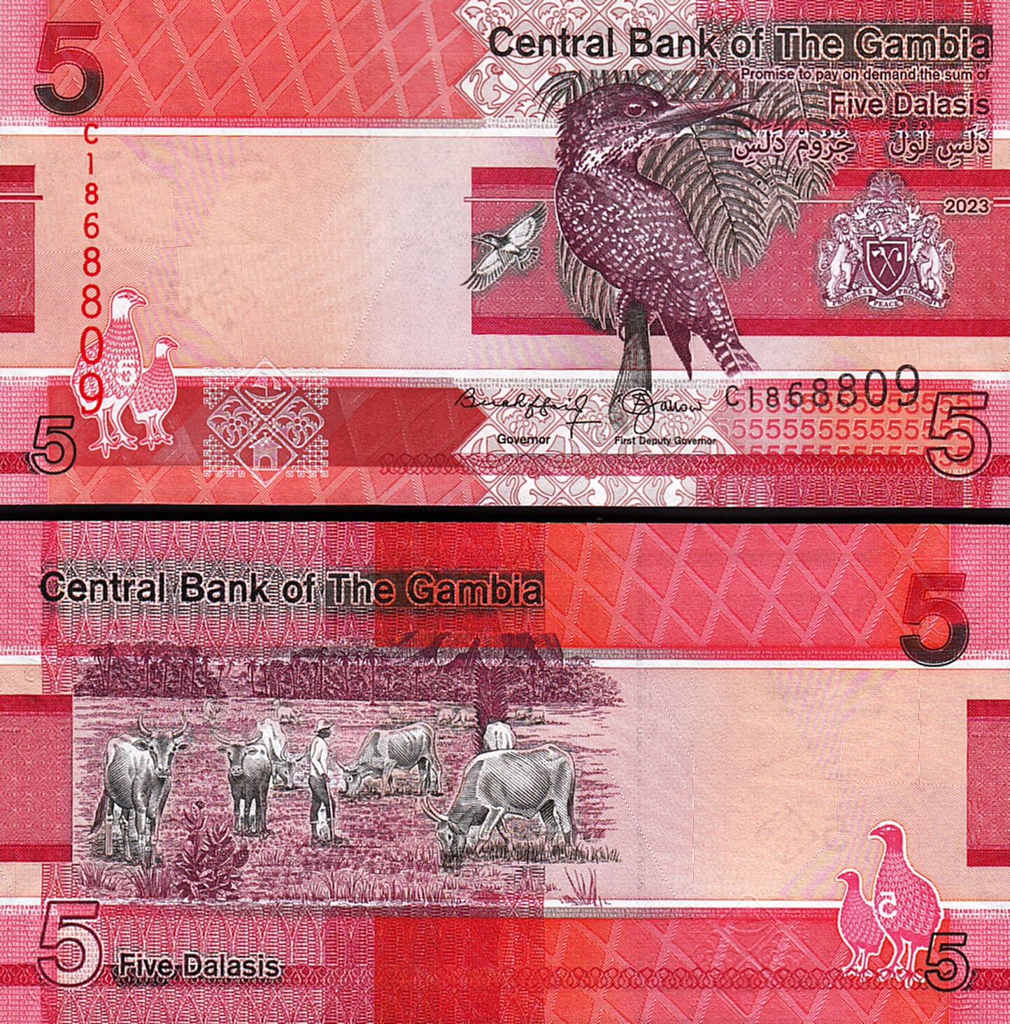 Gambia 5 Dalasis 2023 (2024), UNC-, P-NEW DATE, NEW SIGN