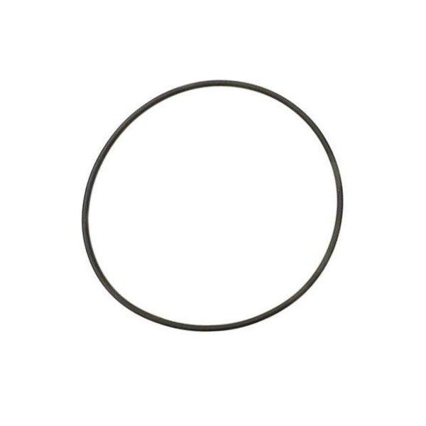 Zodiac Backplate O-Ring R0446300