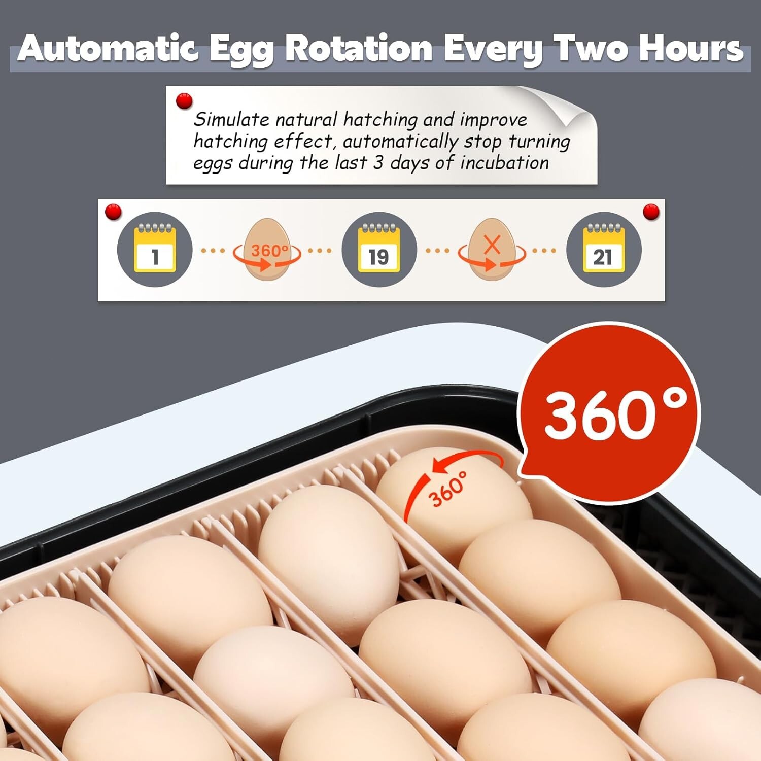 56 Egg Incubator for Hatching Eggs with Automatic Egg Turning Egg Candler Gift-