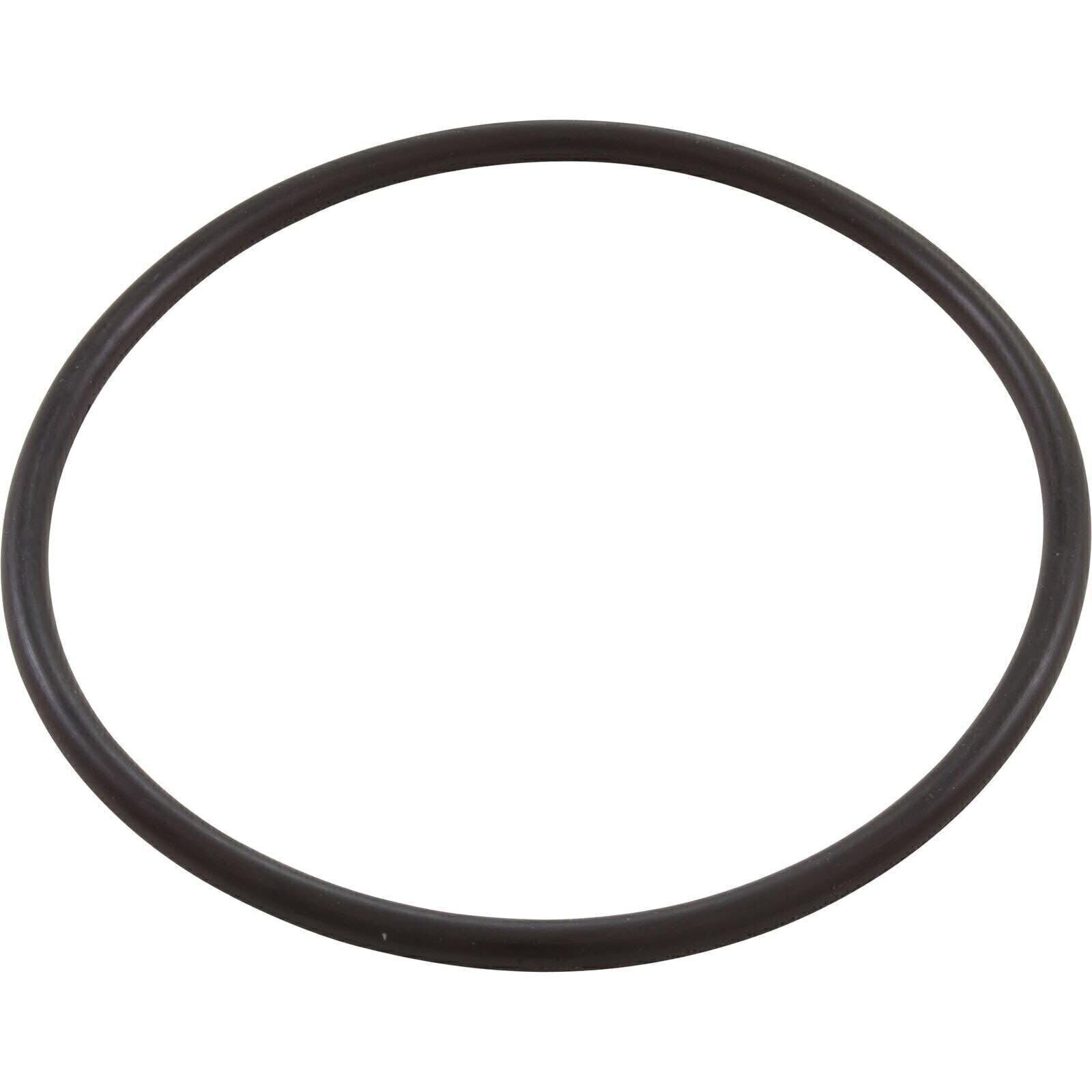 Pentair 350013 Lid O-Ring Replacement Pool and Spa Pump