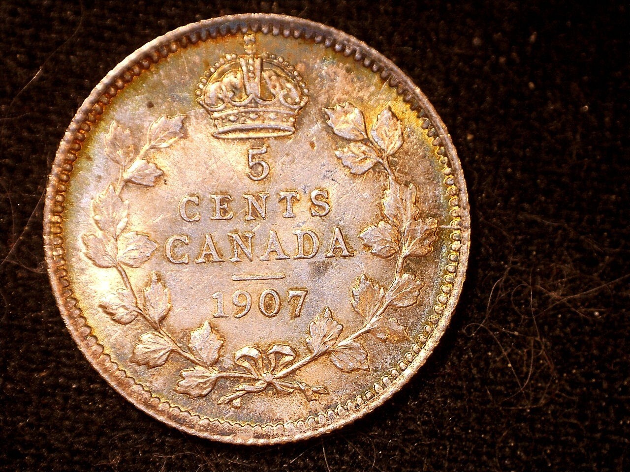 Canada 1907  5 cents, old silver world coin BU  #1066 nice lite  tone