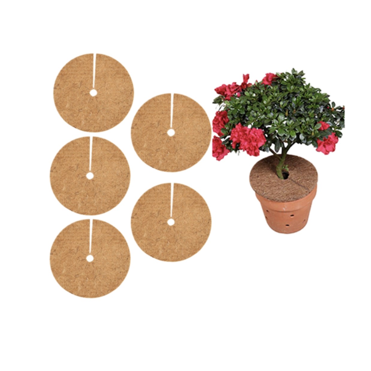 Drip Depot 8" Coco Fiber Plant Ring Mulch Mats for Pots
