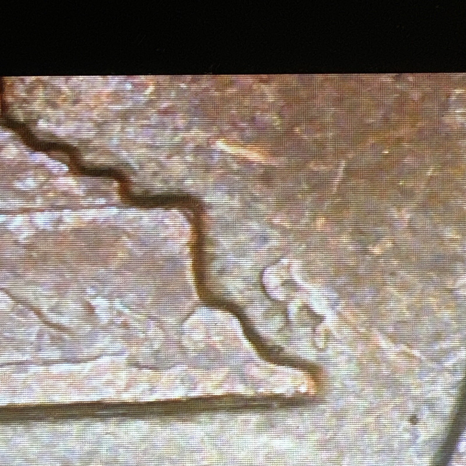 1970 D Lincoln Memorial Cent With A Doubled Die Reverse Machine Doubling