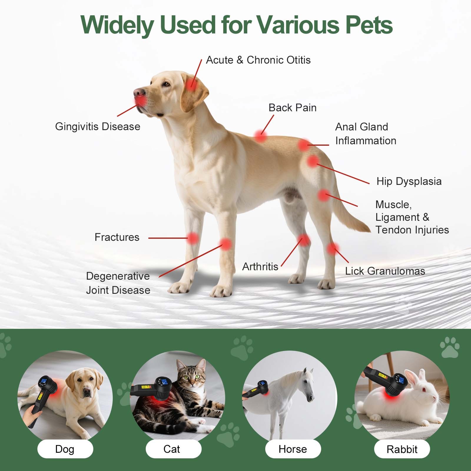 3000mW Multi Species Cold Laser Therapy Device Machine for Home Use Pain Support