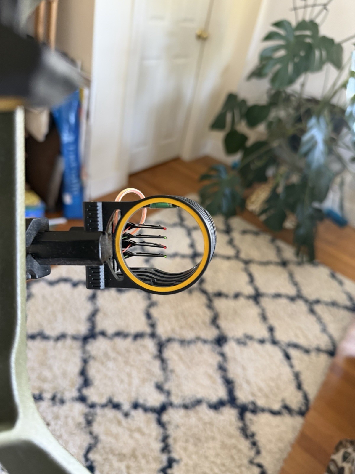 Bear Compound Bow Adapt 3351971
