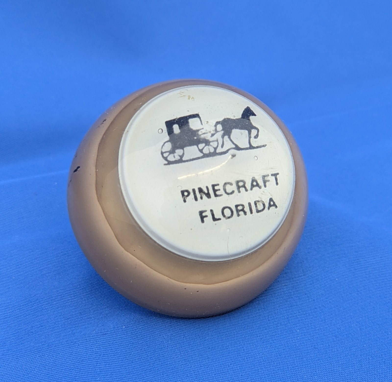 Vintage Nightlight Pinecraft Florida Amish Acrylic Dome Plug In Souvenir