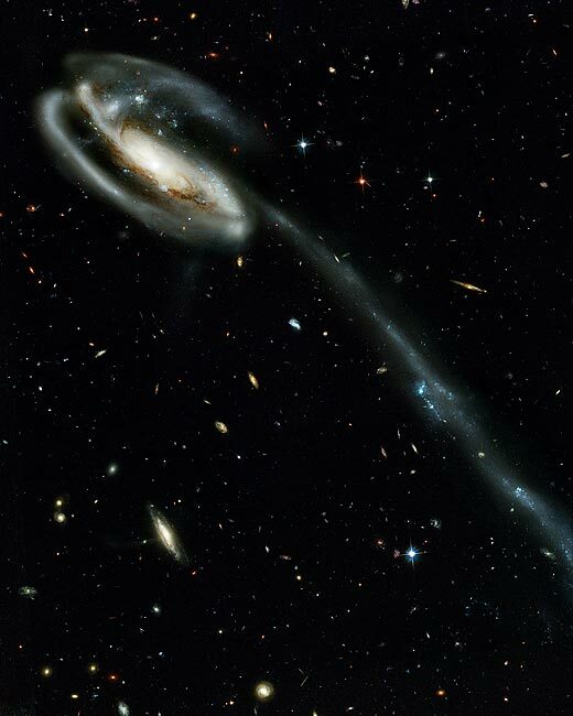 TADPOLE GALAXY HUBBLE SPACE TELESCOPE 8x10 GLOSSY PHOTO PRINT