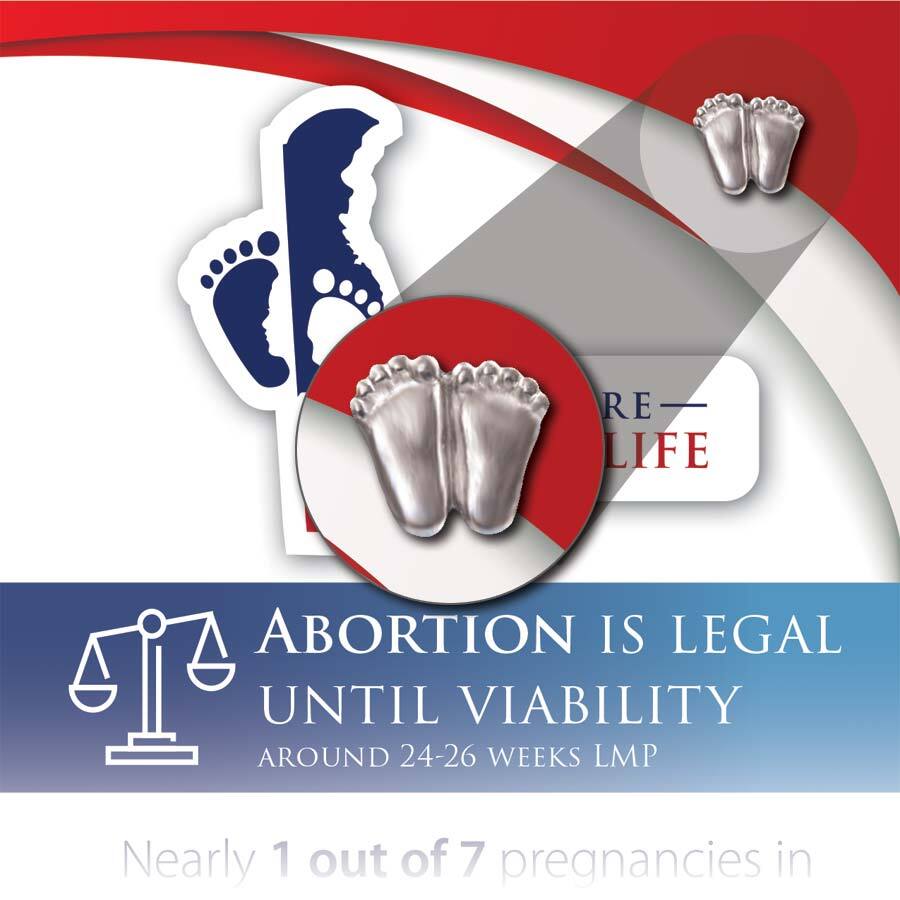 Precious Feet, Silver-Colored, Delaware Stats Card Jewelry, Lapel Pin