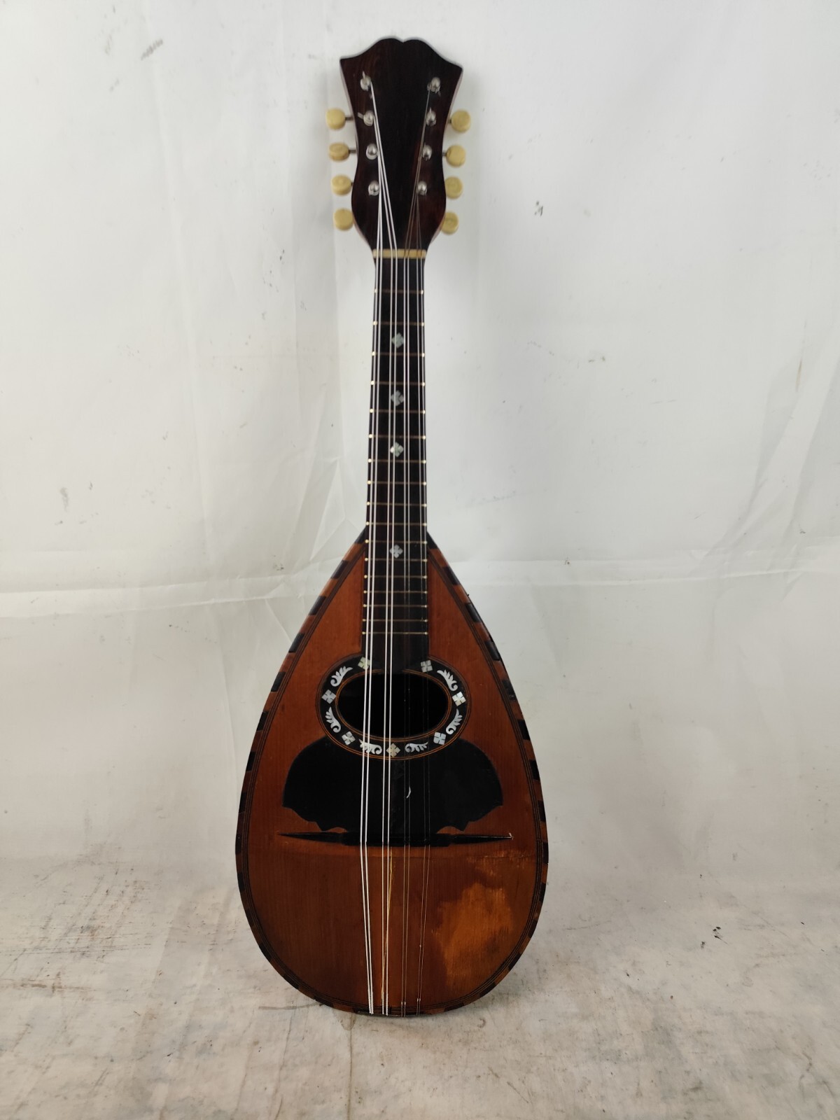 Rare Mandolin 4/4 Horazio Distefano Cavallaro E C. 1920 Catania 曼陀林 만돌린マンドリン