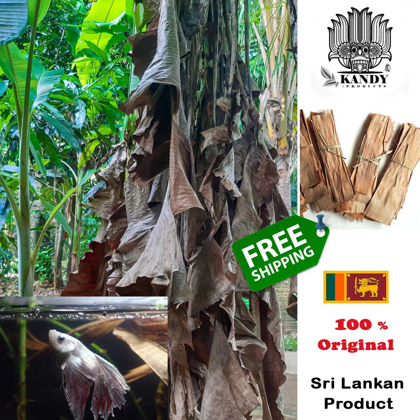 Ceylon Dried Banana Leaves Pet Supplies Care Fish Aquarium  Betta Free Shipping