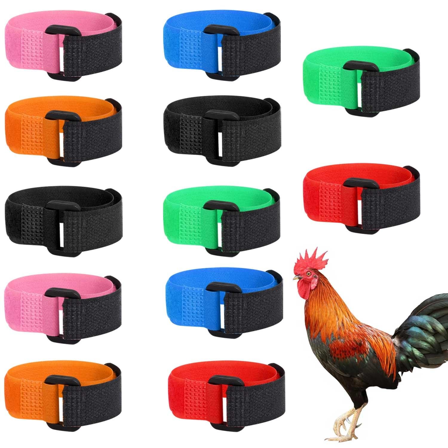 Tkocisa 12 0.79 inch x 7.89 inch, Red, blue, black, pink, light green, orange