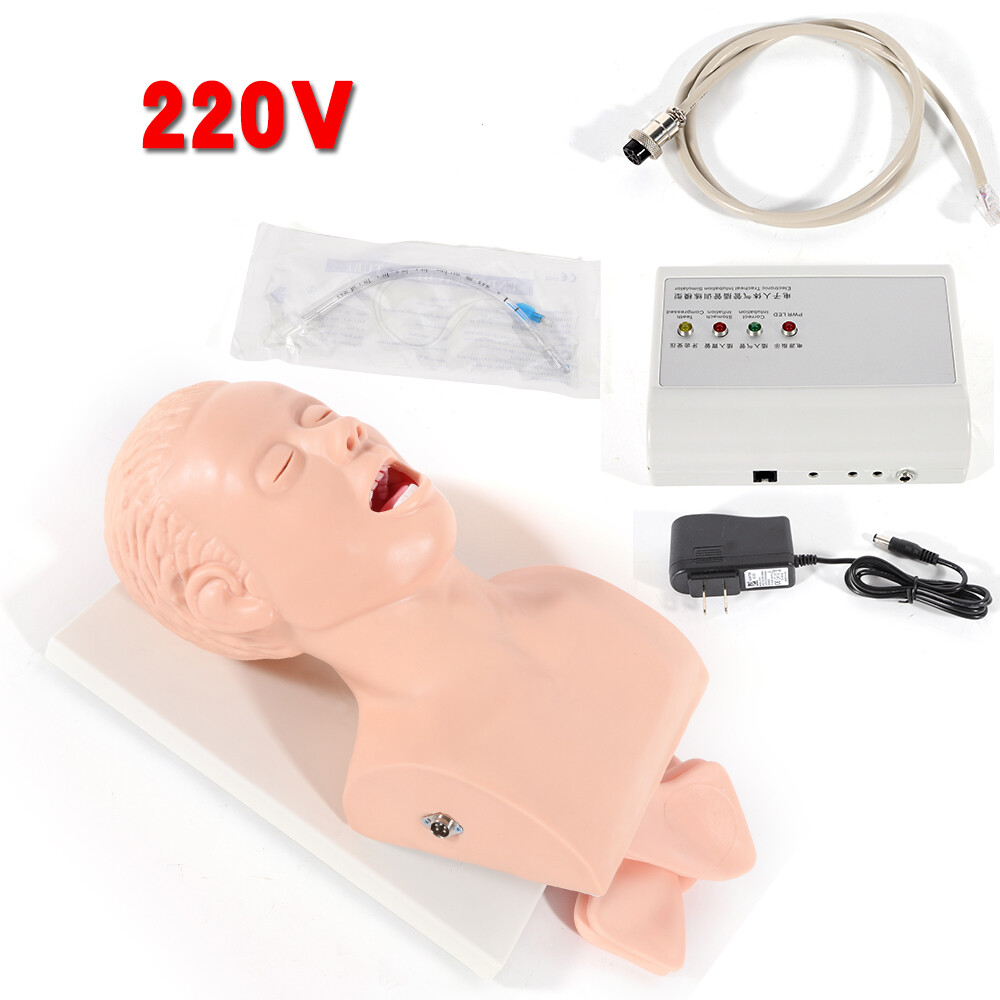 Intubation Manikin Study Teaching Simulator Airway Management Trainer Tool Model