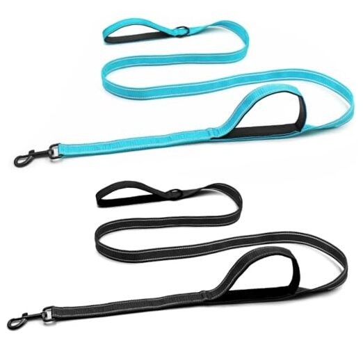 2 Pack Heavy Duty Dog Leashes for Large Dogs - Double Layer Reflective Leash