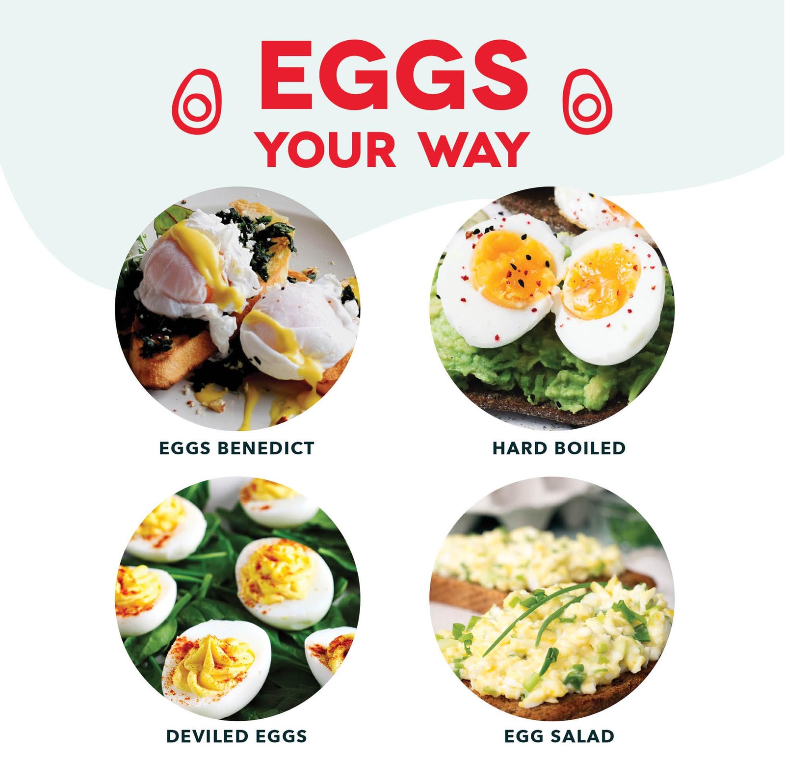 Dash Rapid Egg Cooker - Boiler, Poacher & Steamer - Includes 7 Eggs, Lavender