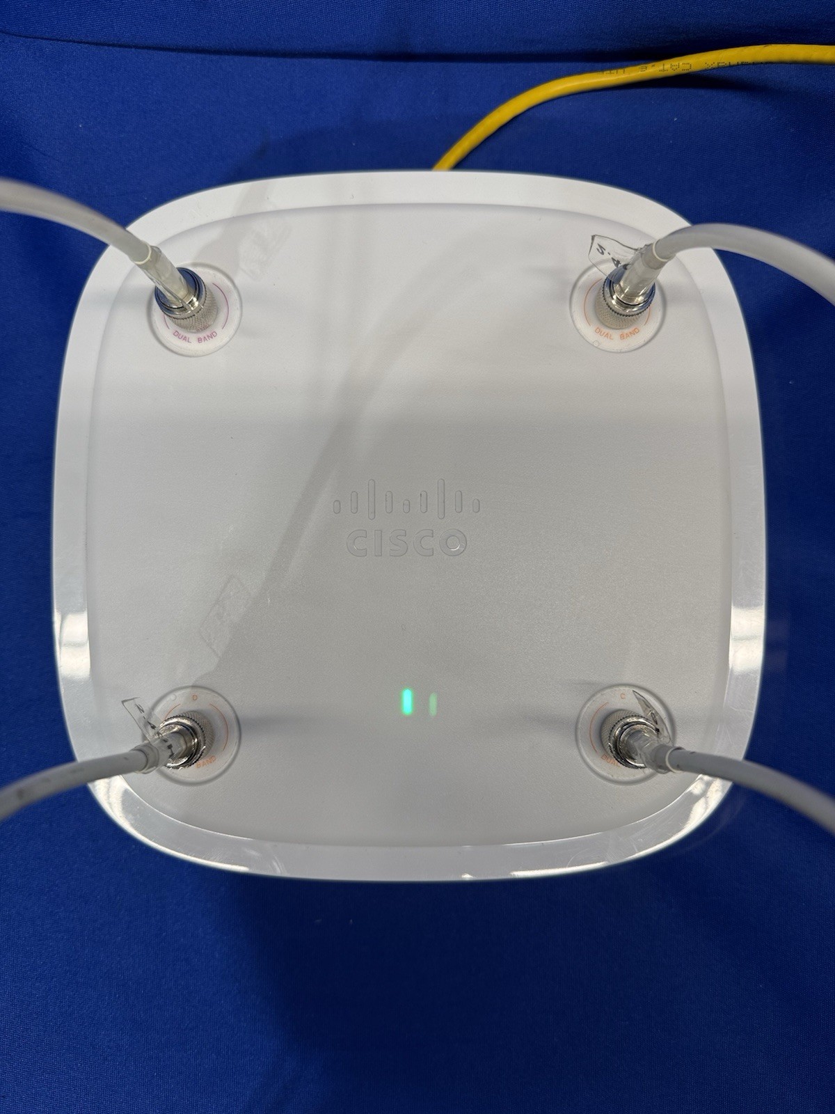 Cisco Catalyst C9120AXE-B Wi-Fi 6 Wireless Access Point - No Antenna - Read
