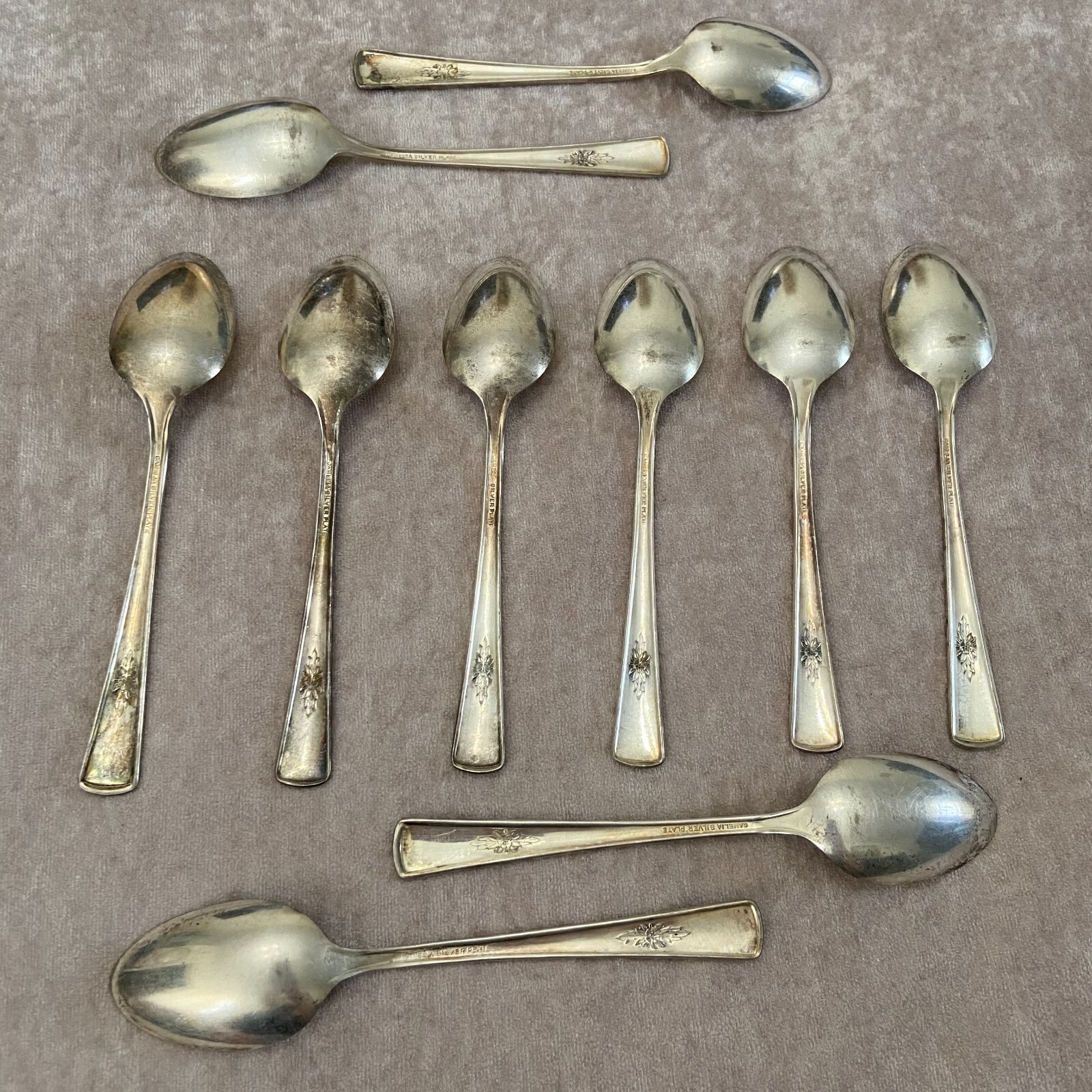 Camelia International Silver 10 Teaspoons