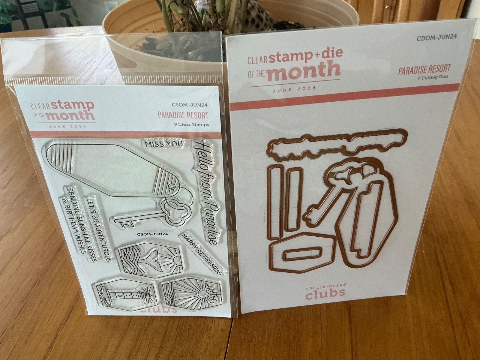 Spellbinders Clear Stamp and Die of the Month, Paradise Resort, #CDOM,CSOM-JUN24