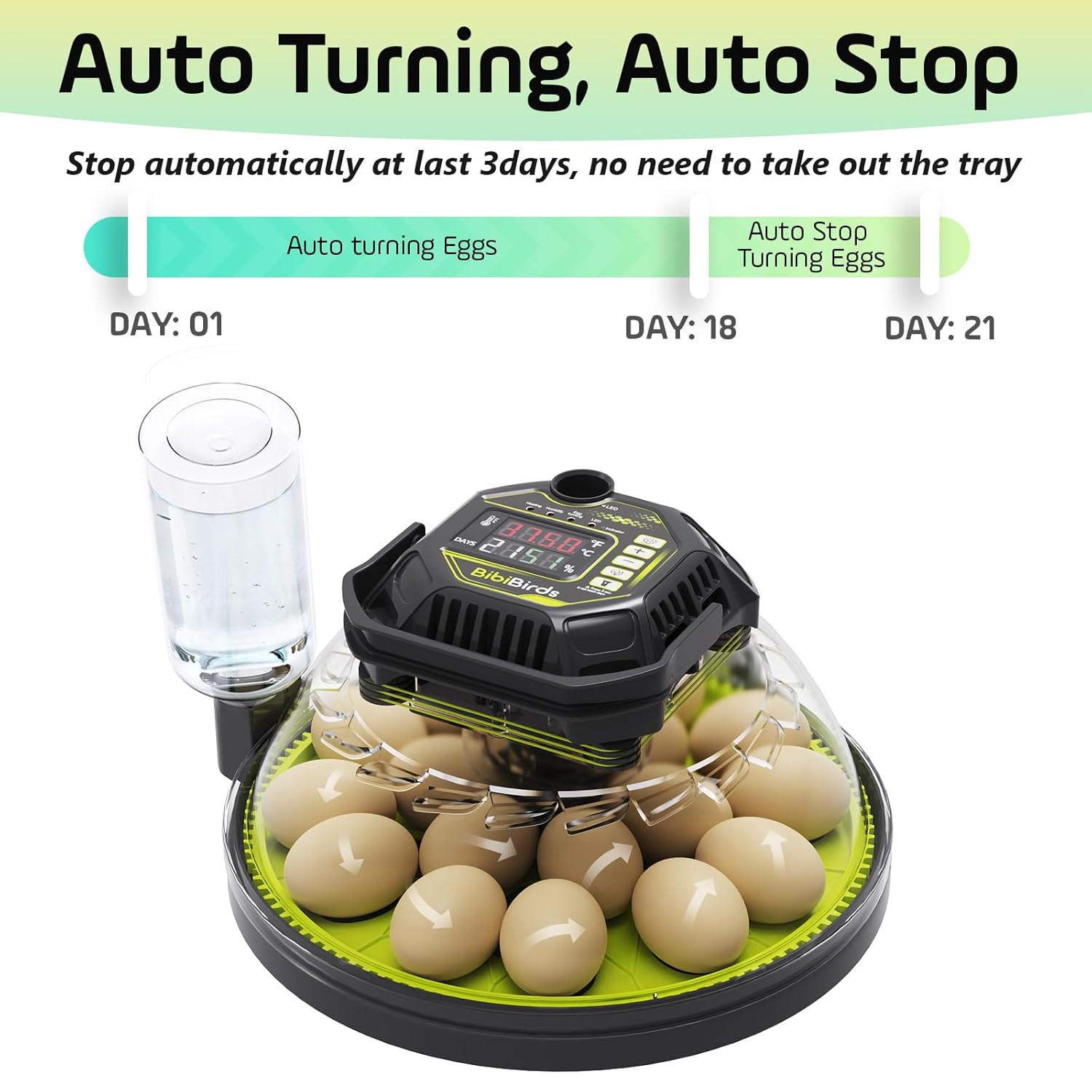 Automatic Egg Incubator for Quail, Chicken, Duck, Goose - 18 Eggs Capacity