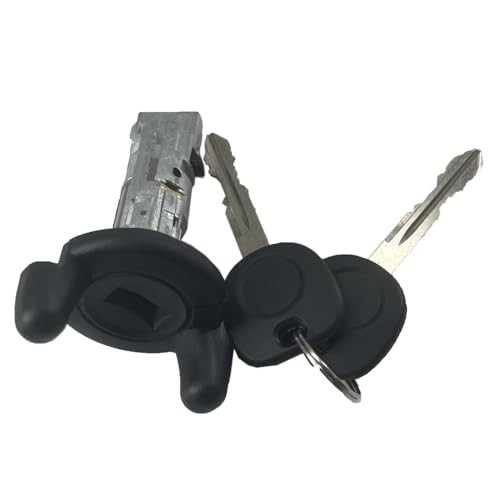 DEVMO Ignition Switch Lock Cylinder and Door Lock Cylinders Key Kit Compatible
