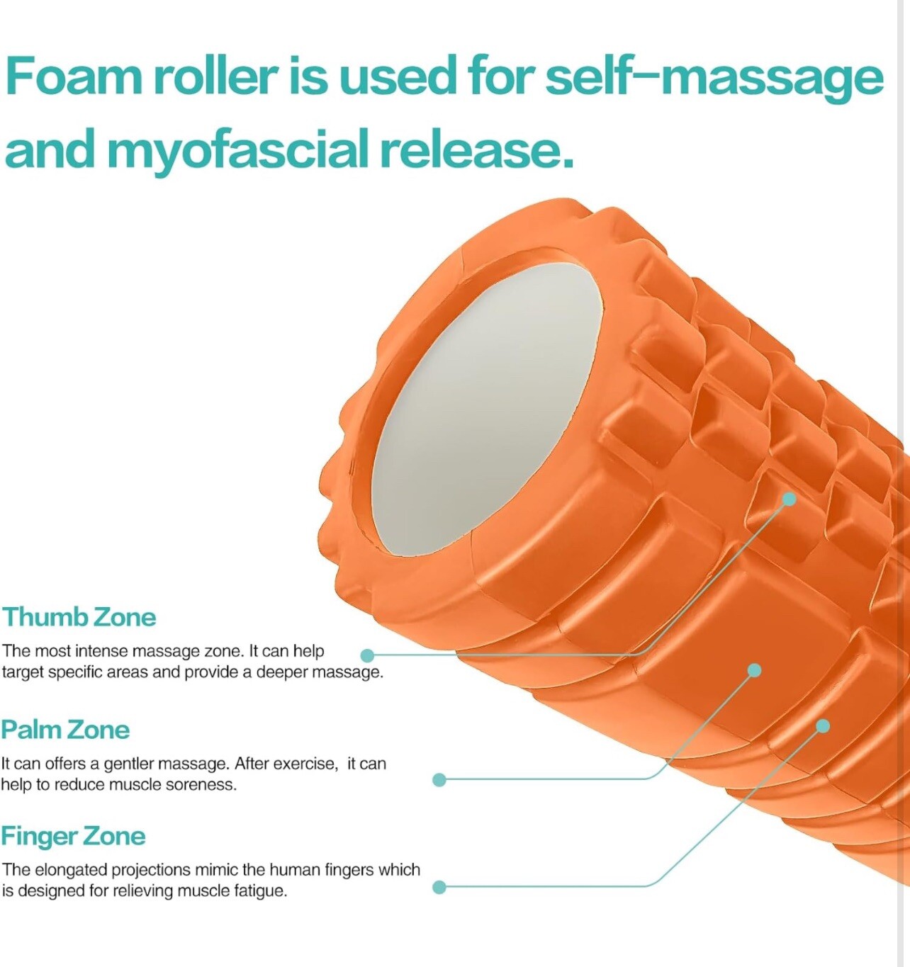 2Pack Foam Roller for Deep Tissue Massager Muscle Trigger Point Blk/Blu 13''X5''