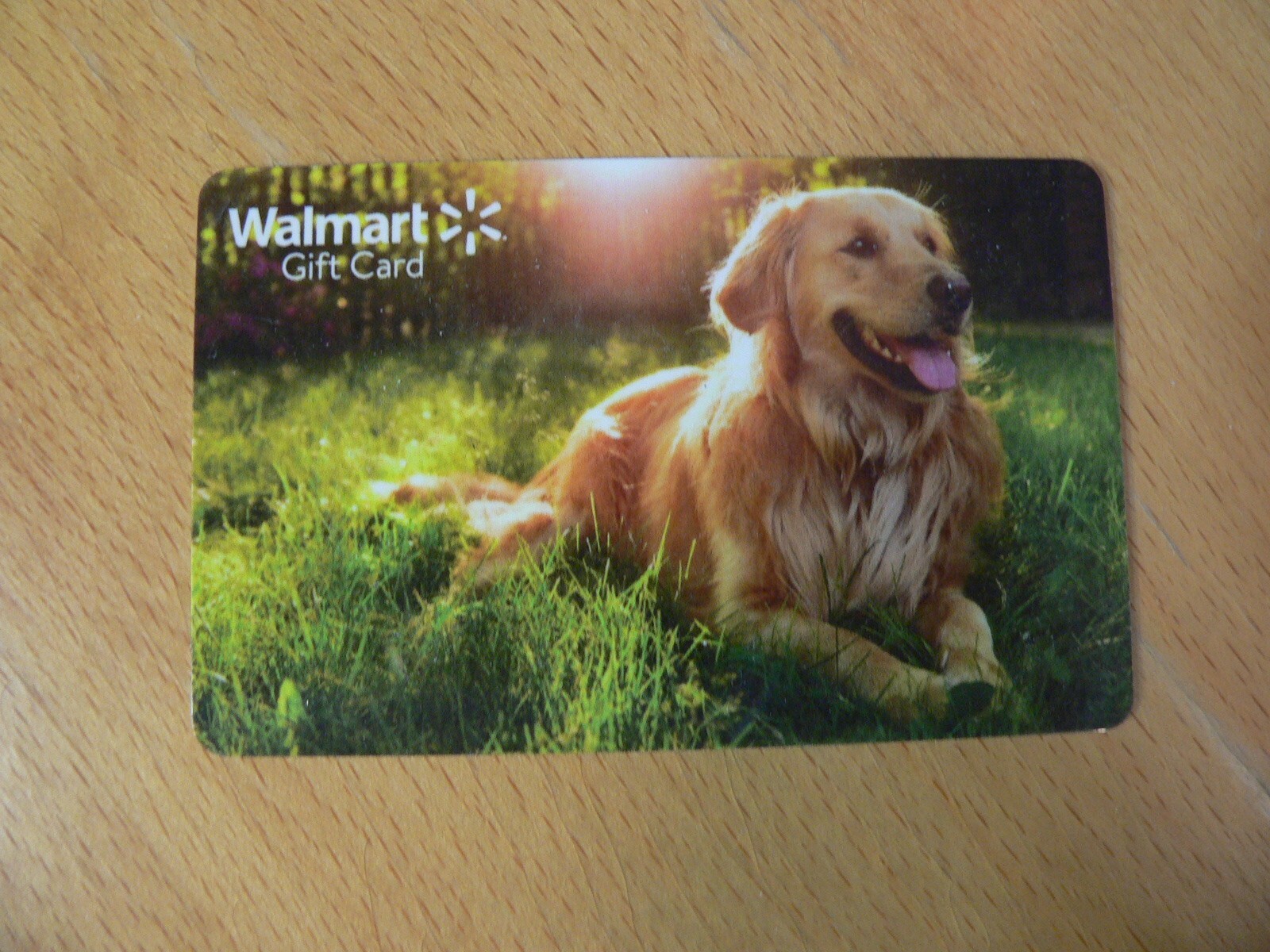 10 DOG Gift Cards NO $ Value Collectible Petco Petsmart Walmart Children's Place