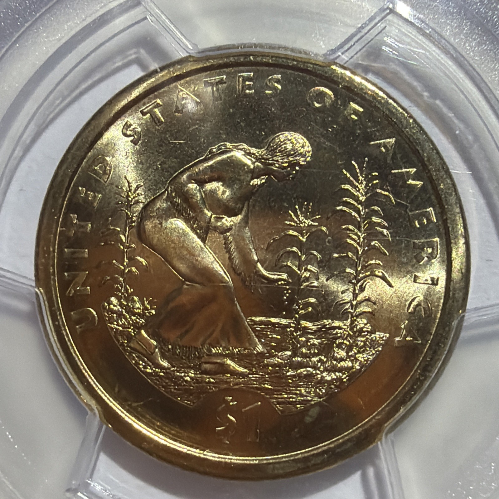 2009-P NATIVE AMERICAN SACAGAWEA DOLLAR MISSING EDGE LETTERING ERROR! PCGS MS-68