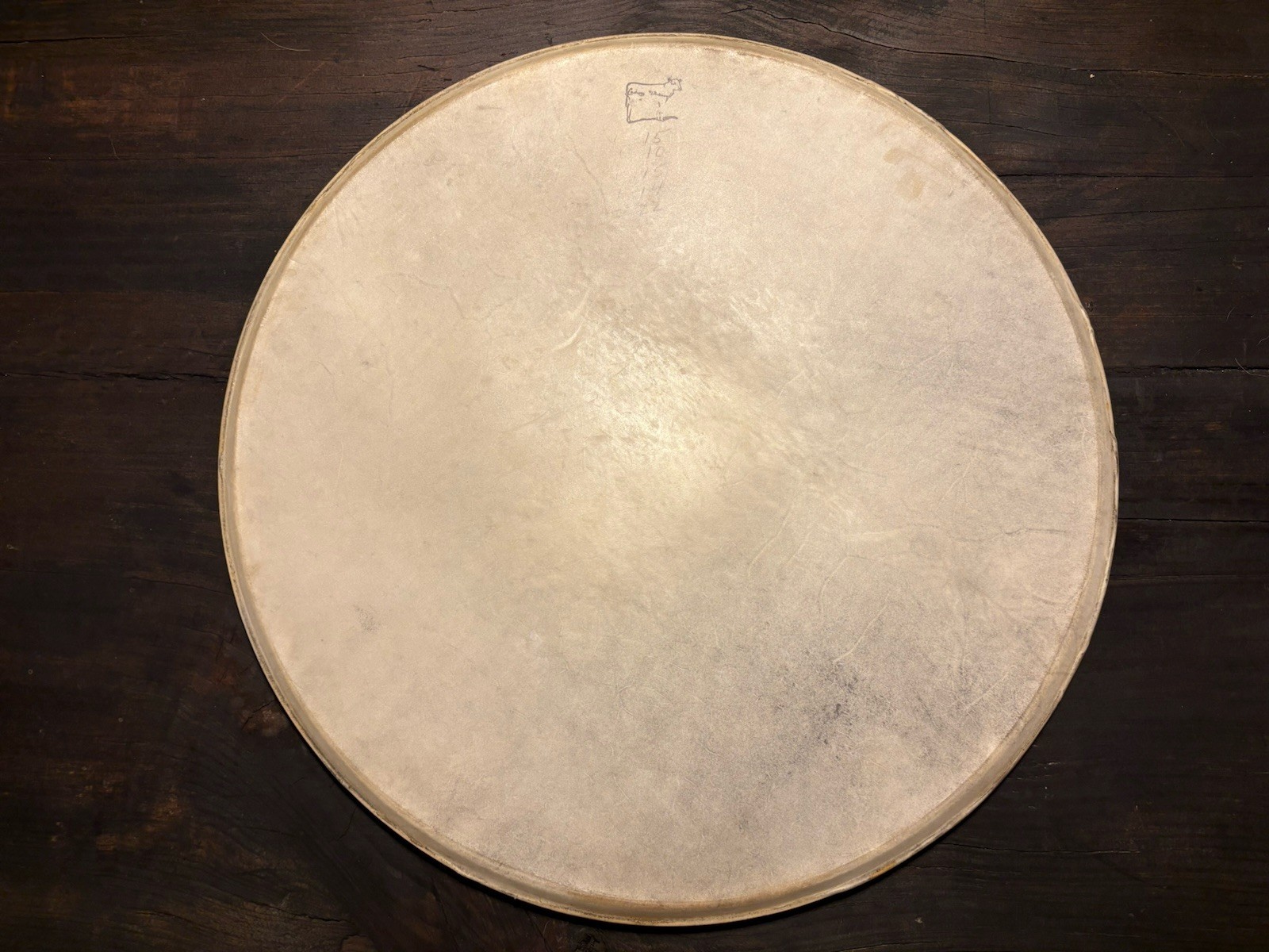 Two Ludwig Whitecalf 50’s Calf Skin Drum Heads Great Playing Condition