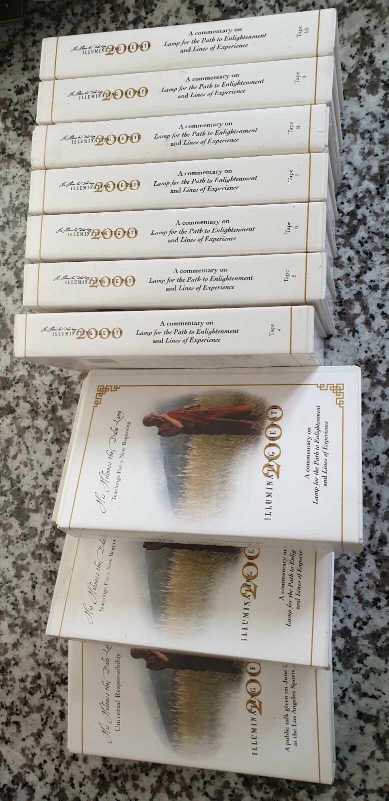 RARE HH DALAI LAMA LAMP PATH ENLIGHTENMENT COMMENTARY VHS 11 TAPES JUNE 2000
