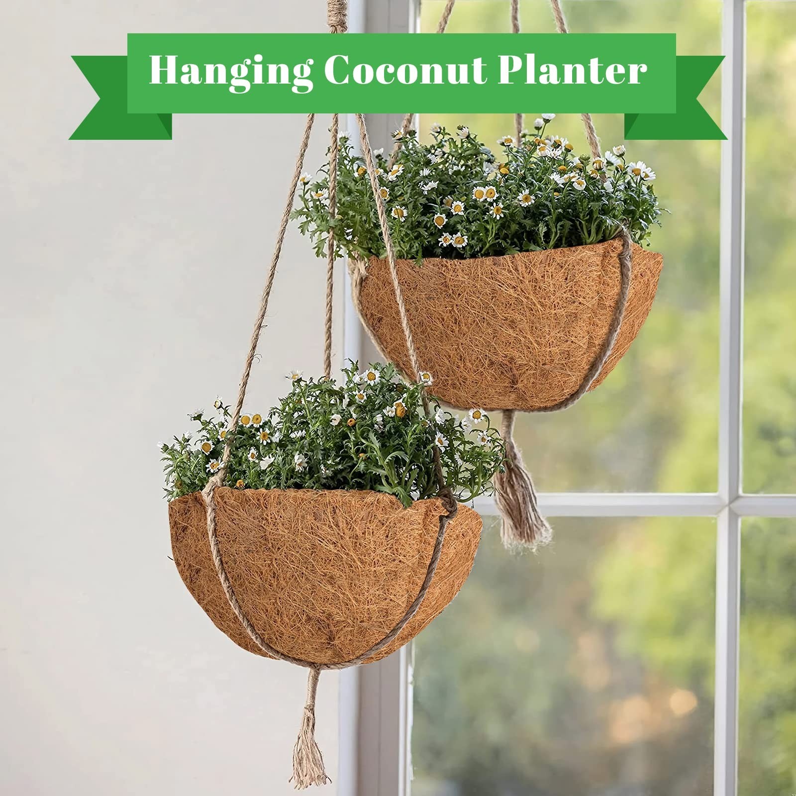 Riare 4 Pack 10 Inch Round Coco Liners Replacement, 100% Natural Coconut Coir...