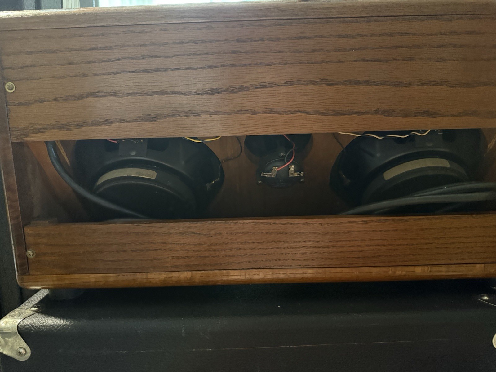 Rare Guild Tamarack Amplifier