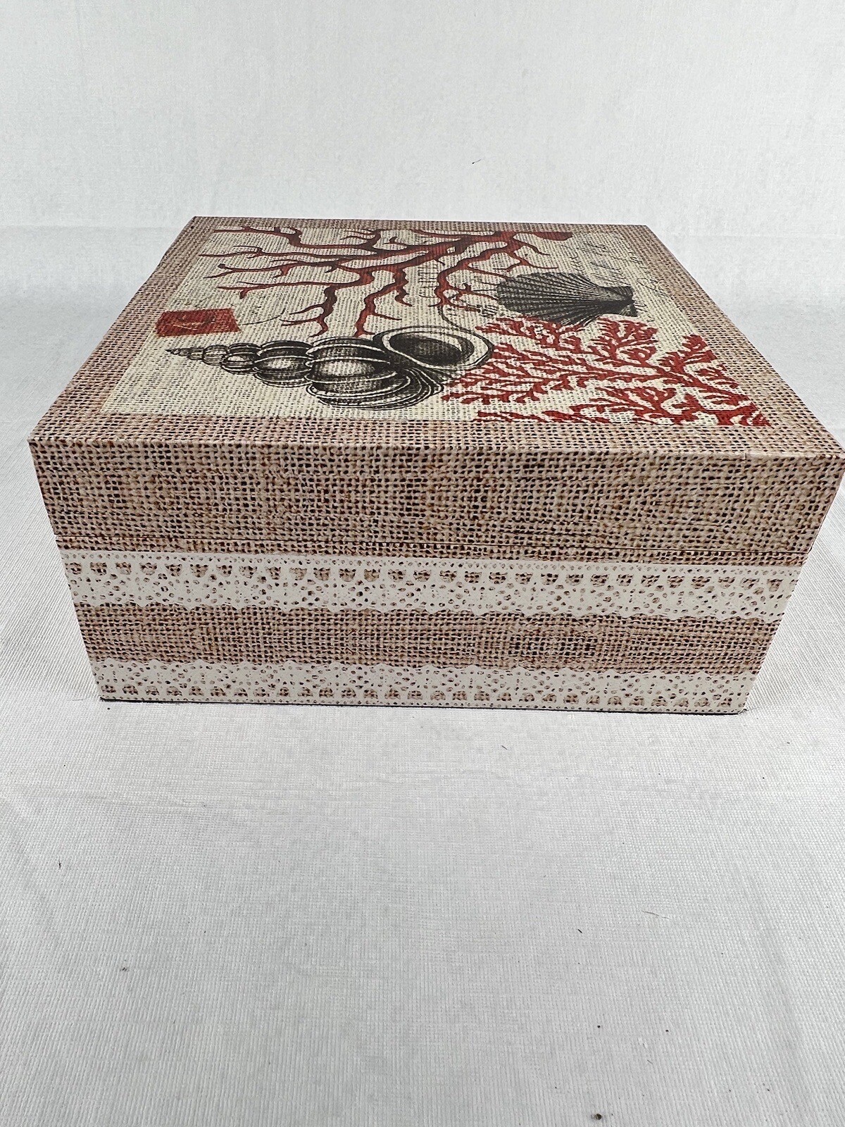 9.5x9.5x4.75 Trinket Box Tree Scallop Sea Shell Hinged Hook Closure