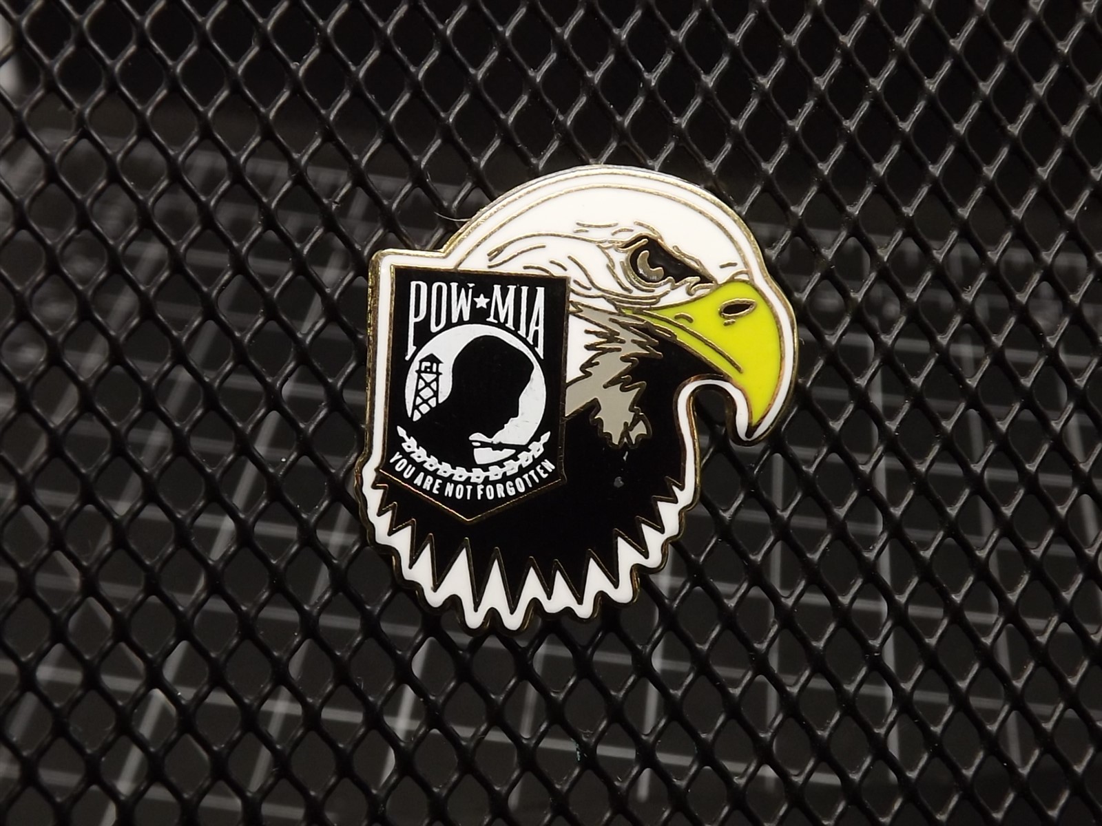 FREE SHIP Lapel Pin POW MIA You Are Not Forgotten Bald Eagle 1"