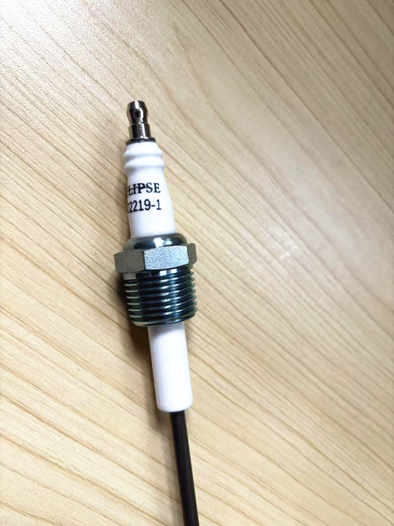 1pcs New ECLIPSE ignition detection electrode 10002219-1