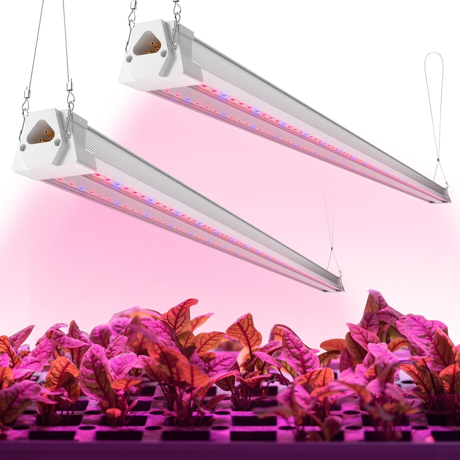 FREELICHT 2 Pack 4FT LED Grow Light, 40W (250W Equivalent), Red Blue (660nm+4...