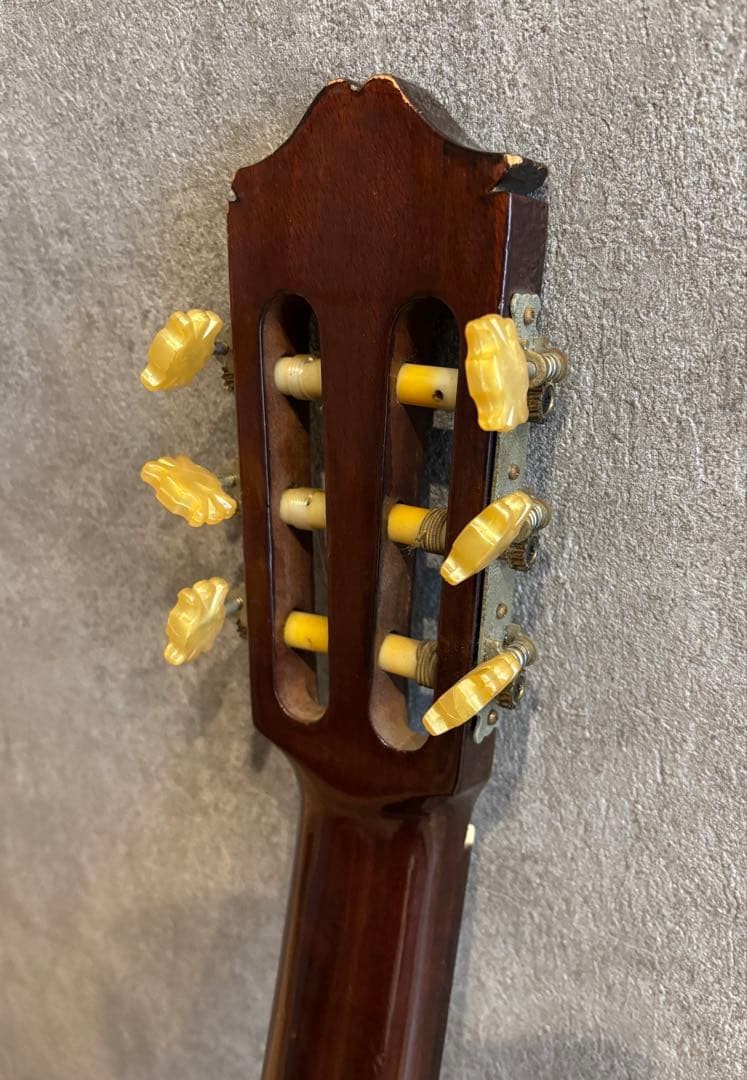 Morris Classical Guitar With Sabares Strings