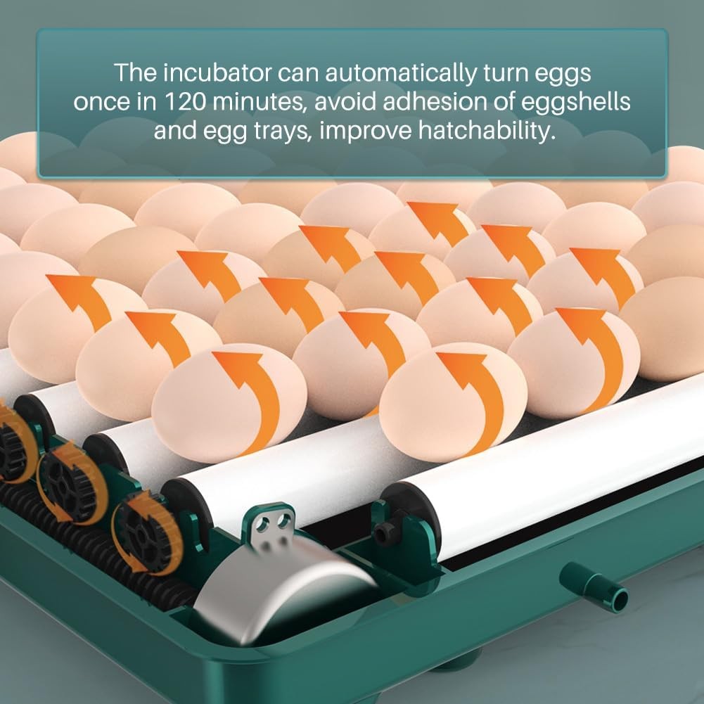 Incubators for Hatching Eggs, Egg Incubator with Automatic Egg Turning and Humid