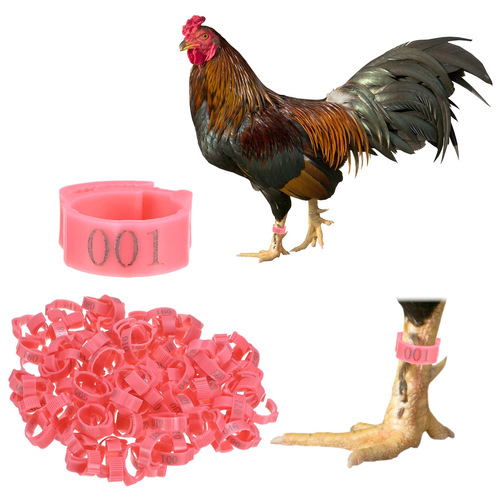100-Pack Adjustable Chicken Leg Bands, 17-22 mm Plastic Chicken Leg Rings [Pink]