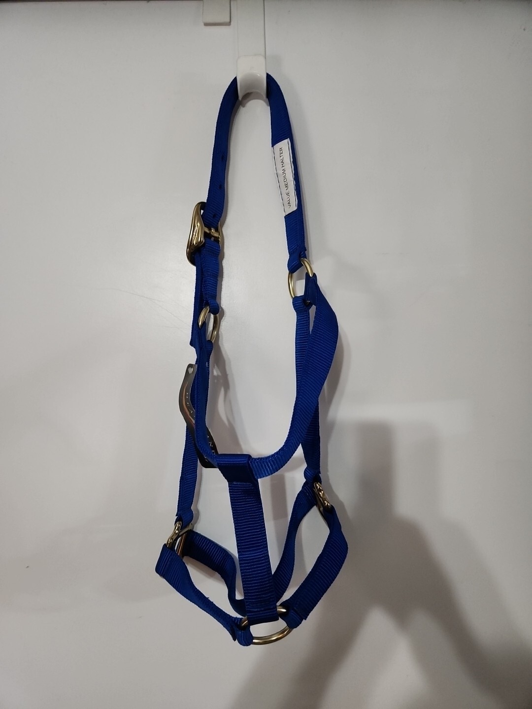 New Heartland Blue Nylon+Gold  Buckle Large 800-1100 Lbs. Horse Halter  Gear