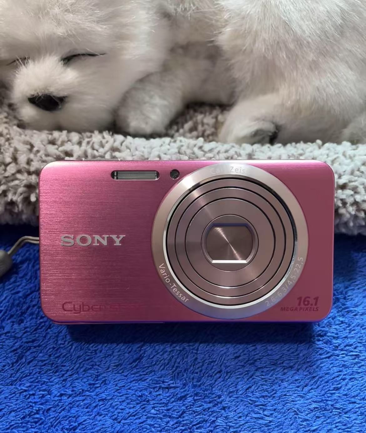 Sony Cyber-shot DSC-W630 16.1 MP 5x Optical Zoom Digital Camera Pink English
