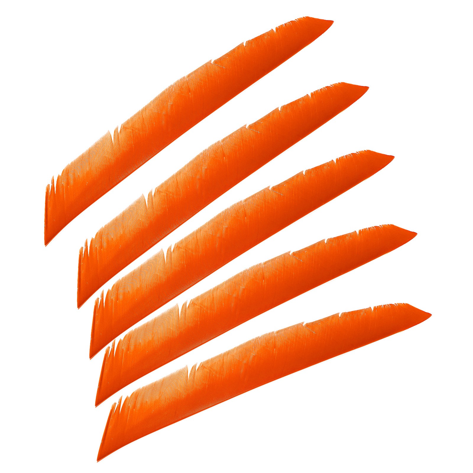 50pcs Arrows Vanes 11 Inch Turkey Feather Arrow Fletching Right Wing, Orange