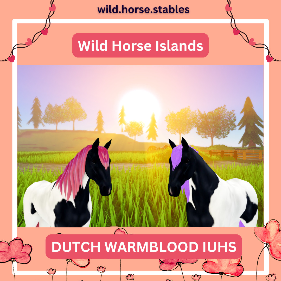Wild Horse Islands - Dutch Warmblood Island Unique Hairs / IUH