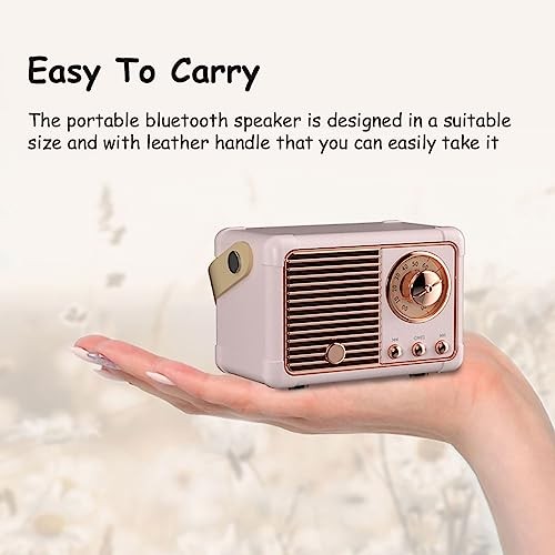 Retro Bluetooth Speaker, Portable Wireless Speaker with Crystal Clear Pink