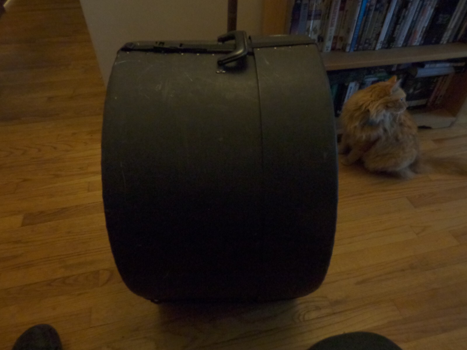 Bass Drum Case with New Nylon Straps and Easy Quick Release Buckles NICE