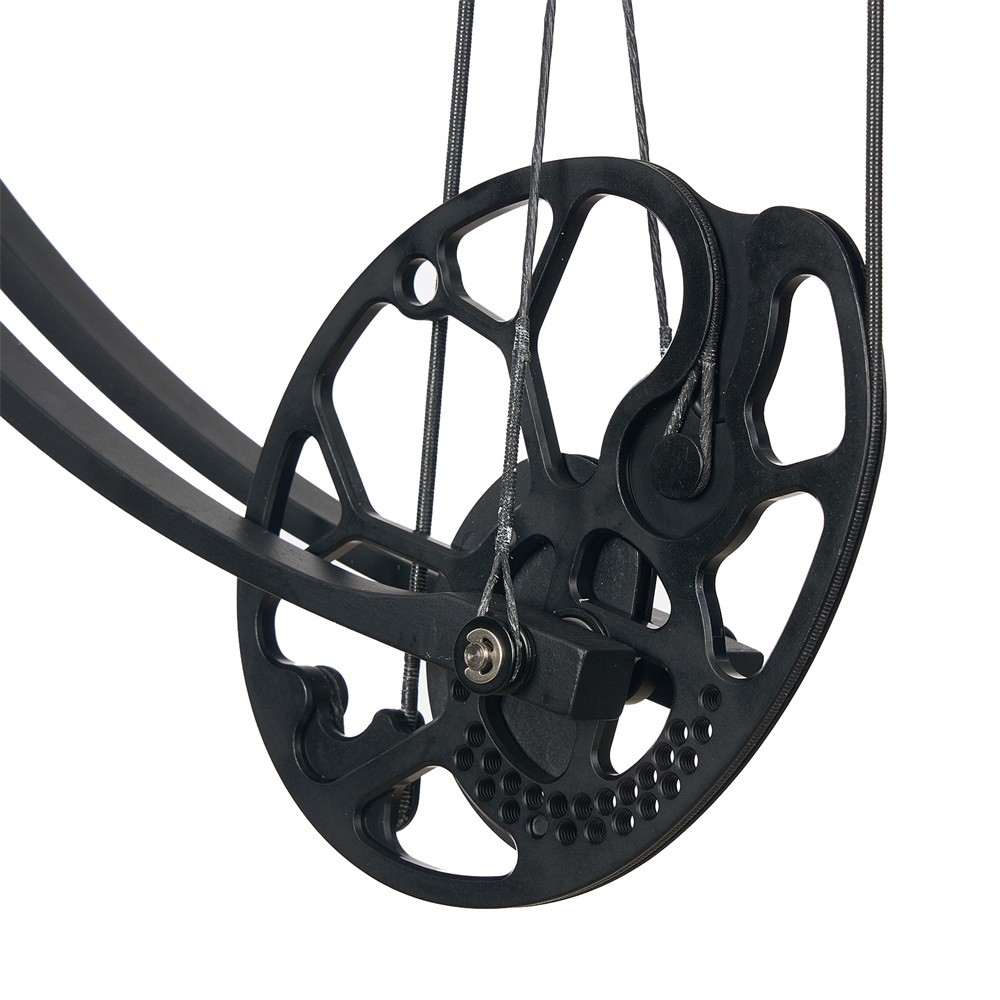 19-70lbs Compound Bow Arrows Kit Hunting Adjustable Archery Hunt Shooting Target