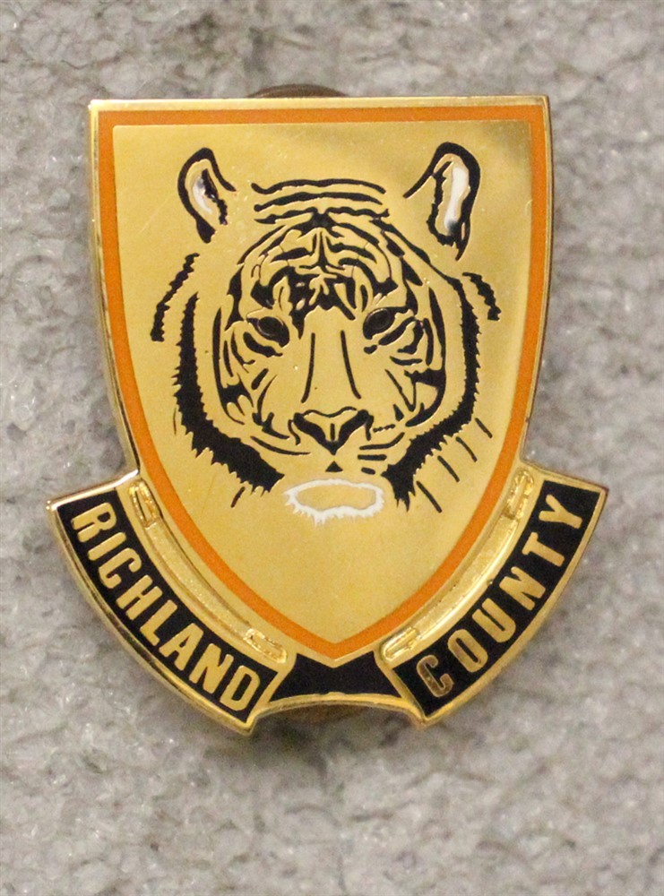 Army ROTC DI Pin: Richland County High School (IL) - c/b, S-38