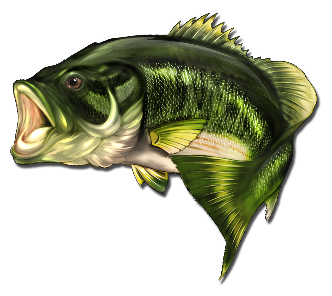 6" Large Mouth Bass Fish Sticker Boat Fishing Car Vehicle window bumper decal