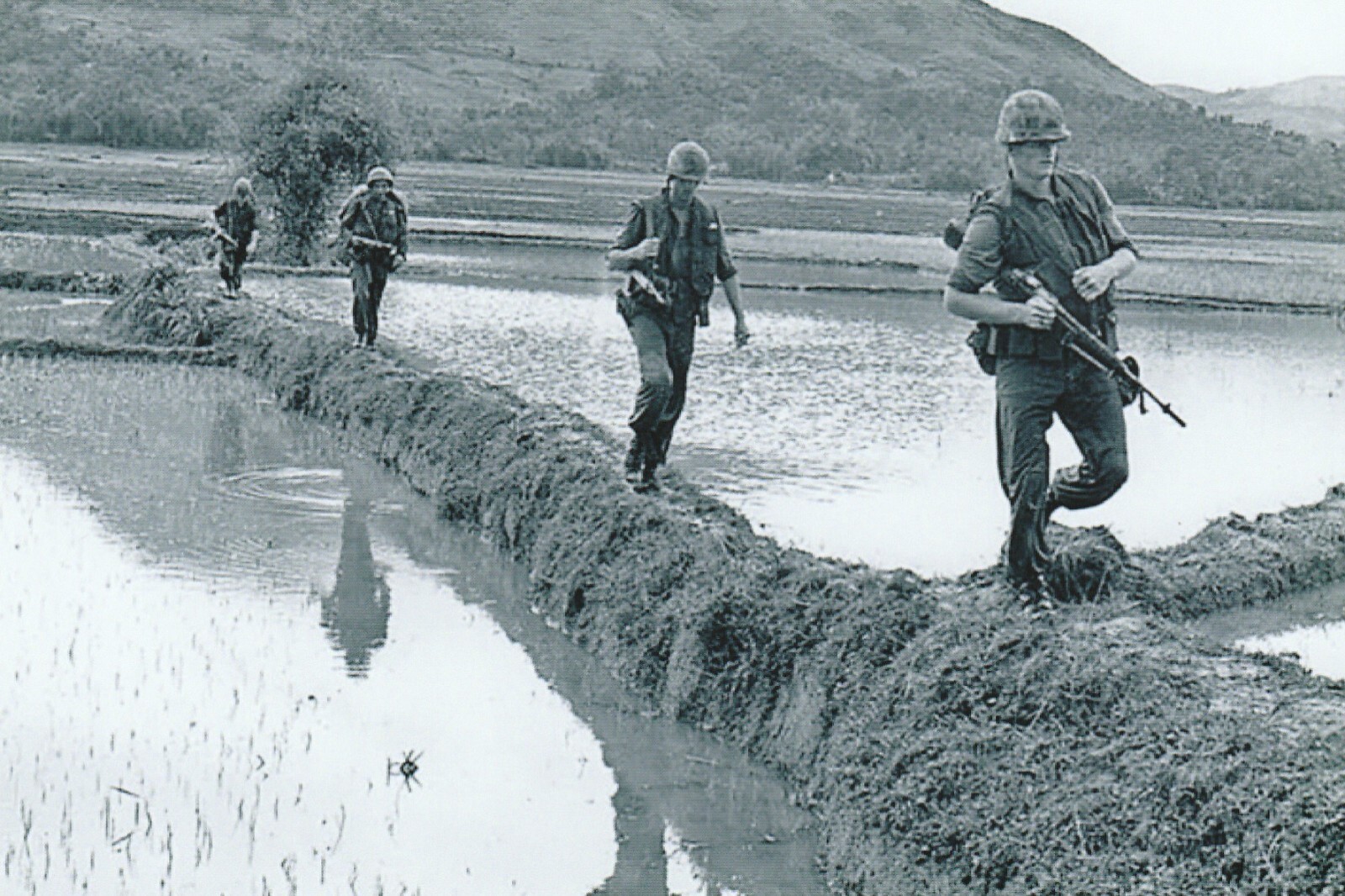 Vietnam  War  Photo --    US Soldiers Moving Though Rice Paddies..