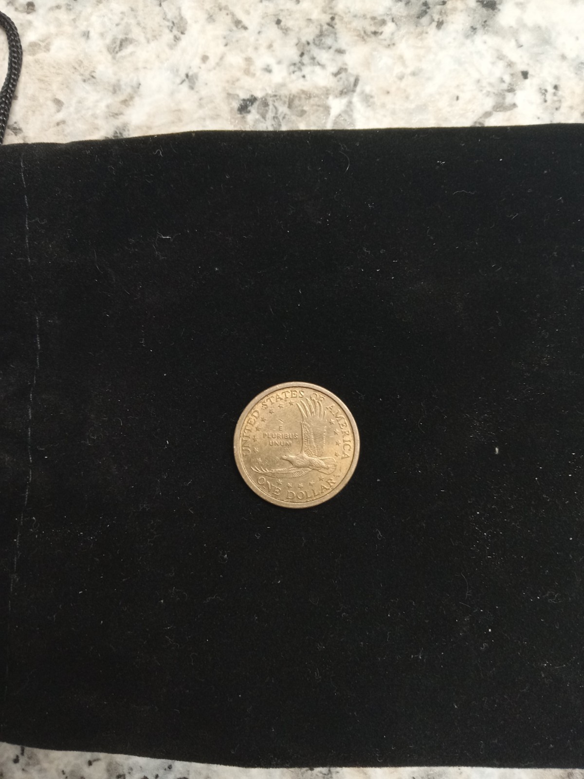 US Native American $1 Dollar Coin 2000 Uncertified Collectible