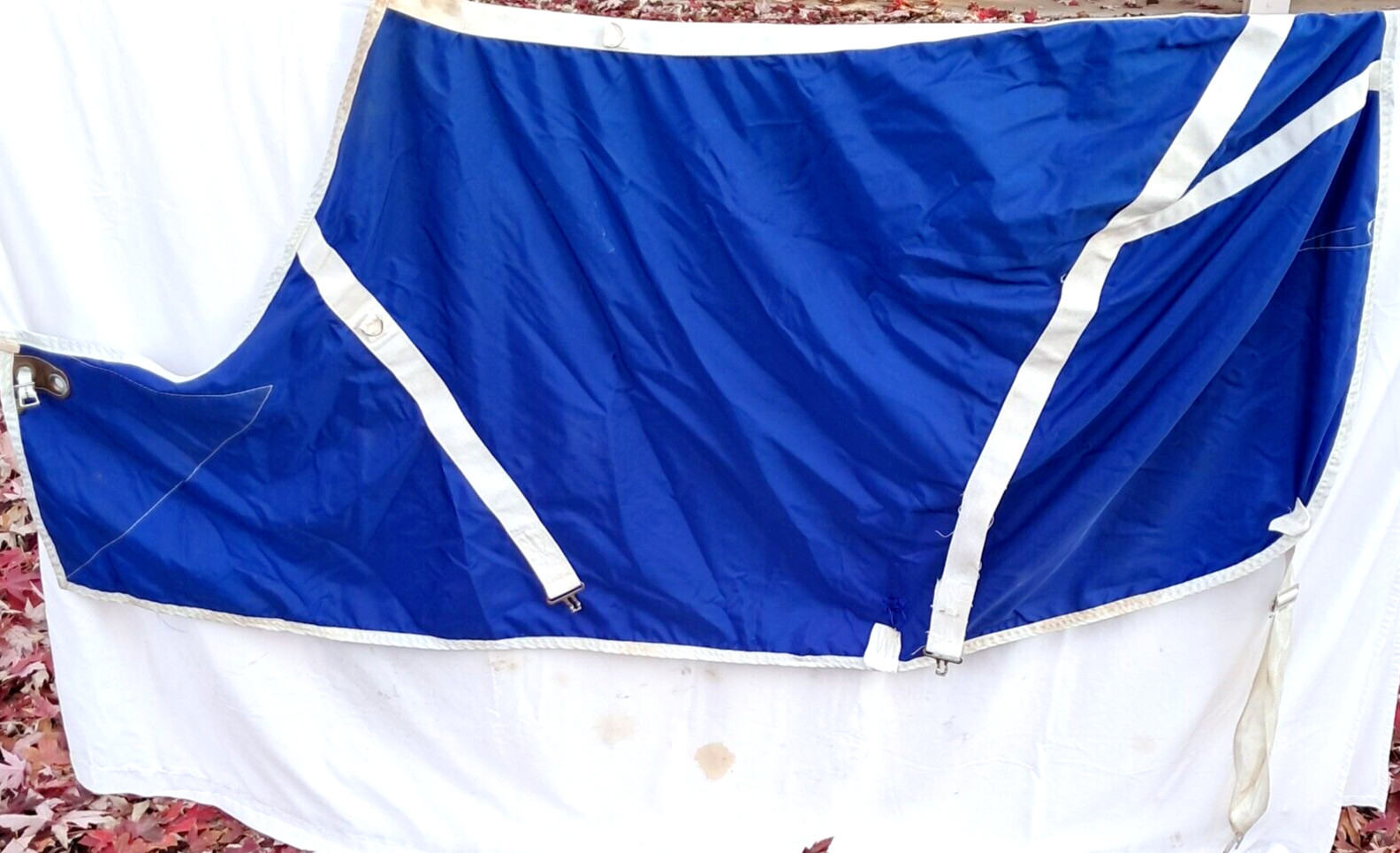*DAMAGED* Size 78 Big D Nylon Horse Stable Sheet Blue Lightweight
