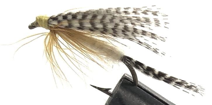 10 Flies -  Wet Light Cahill on a Bronze 8 Mustad Hook